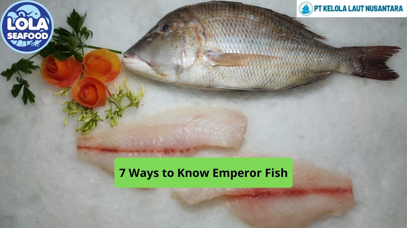 7 Ways to Know Emperor Fish